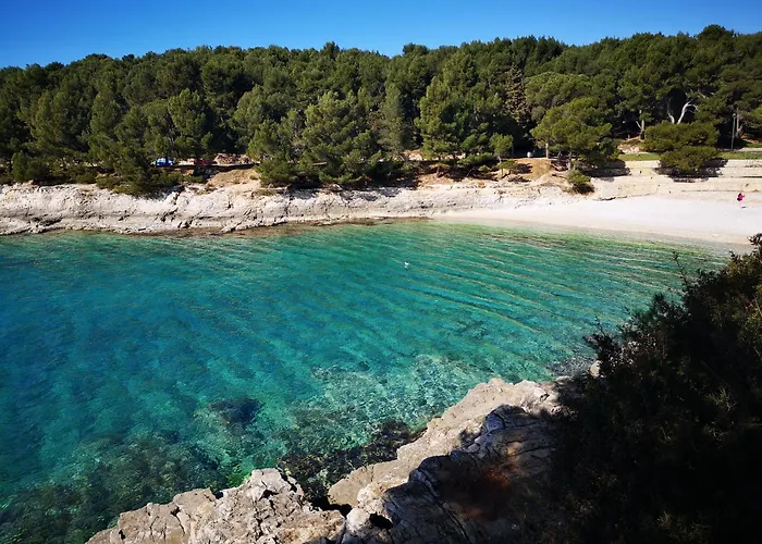 App Zara Park Daire *